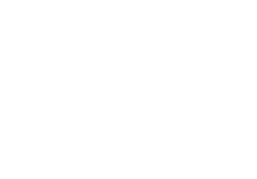 Logo Phù Thủy Mụn Mặt